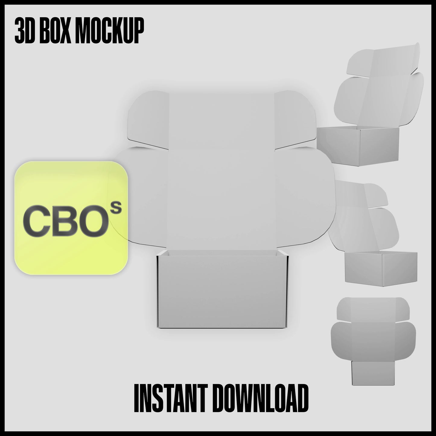 Box 3D Mockup [CBOs]