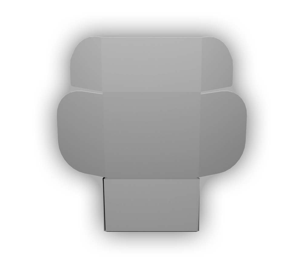 Box 3D Mockup [CBOs]