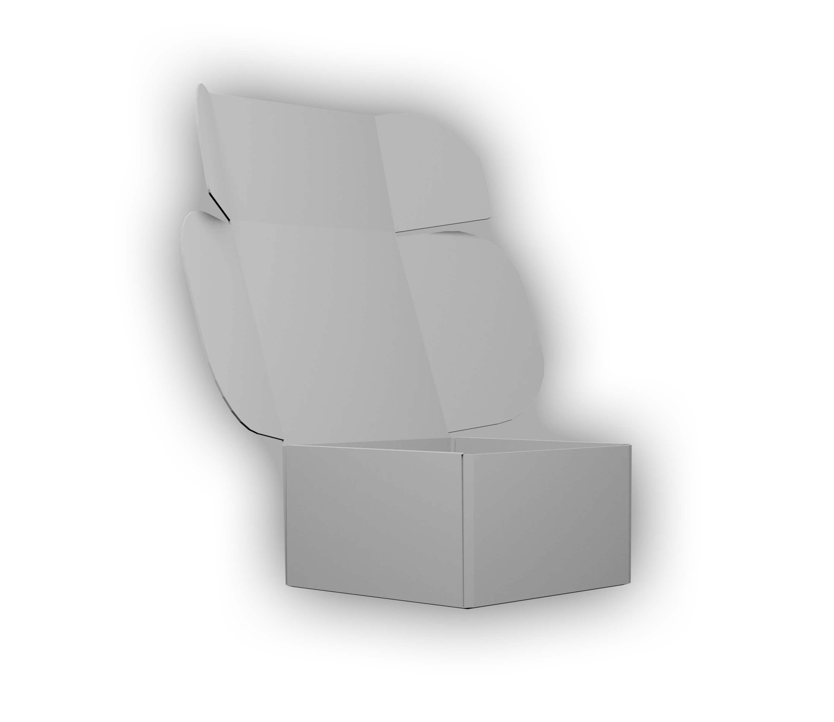 Box 3D Mockup [CBOs]